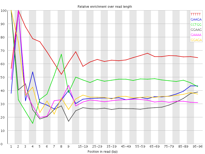 Kmer graph