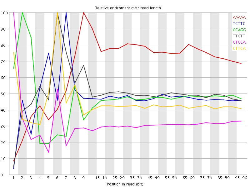 Kmer graph