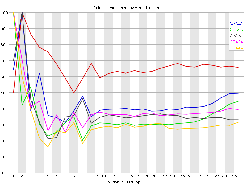 Kmer graph